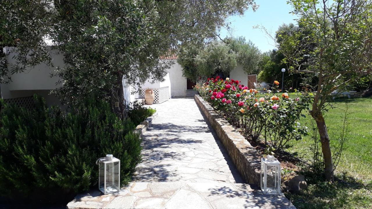 Marios Garden House Lägenhet Afytos Exteriör bild